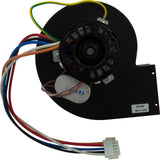 Blower, Zodiac Jandy LXi, with Gasket : R0455600 - Jandy/Laars/Zodiac - 052337023214 - PartsForSpas.com