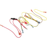 Wire Harness, Zodiac Jandy Lxi, Control : R0457700 - Jandy/Laars/Zodiac - 052337023405 - PartsForSpas.com