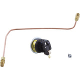 Pressure Switch, Zodiac Laars HI-E2, with Siphon Loop : R0322900 - Jandy/Laars/Zodiac - 052337014731 - PartsForSpas.com