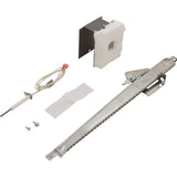 Igniter Box Assembly, Zodiac Jandy Lite2 : R0449800 - Jandy/Laars/Zodiac - 052337022477 - PartsForSpas.com