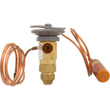 Txv 8Ton Ultratemp 98 Psig : 473999 - Pentair - 473999 - PartsForSpas.com