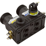 Manifold Kit for Master Temp 125 : 474972 - Pentair - 788379865245 - PartsForSpas.com