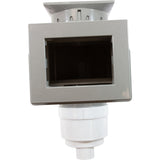 Skimmer Complete, WW Renegade, Fiberglass, 2", Gry, Square : 540-8617