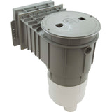 Skimmer Complete, Waterway Renegade, Pool Fiberglass, 2", Gray : 540-8627 - Waterway Plastics - 540-8627 - PartsForSpas.com