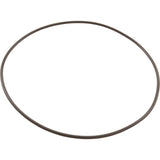 O-Ring, Pentair PacFab Bermuda, Body Float Valve : 516244