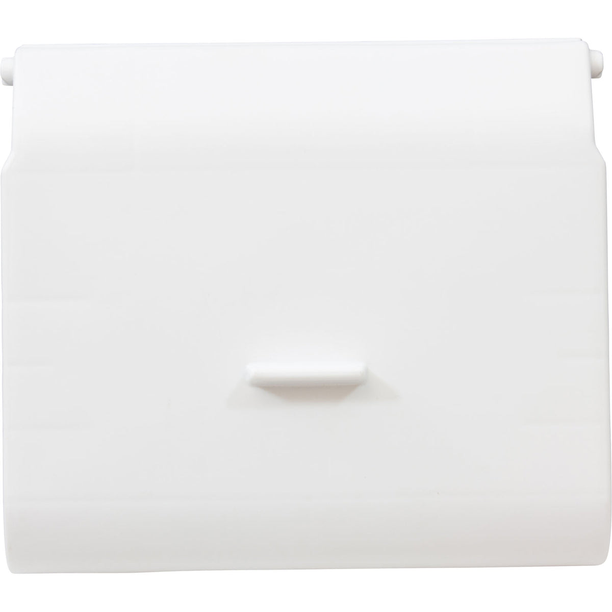 Skimmer Float, Carvin SV : 43124623R - Carvin - 43124623R - PartsForSpas.com