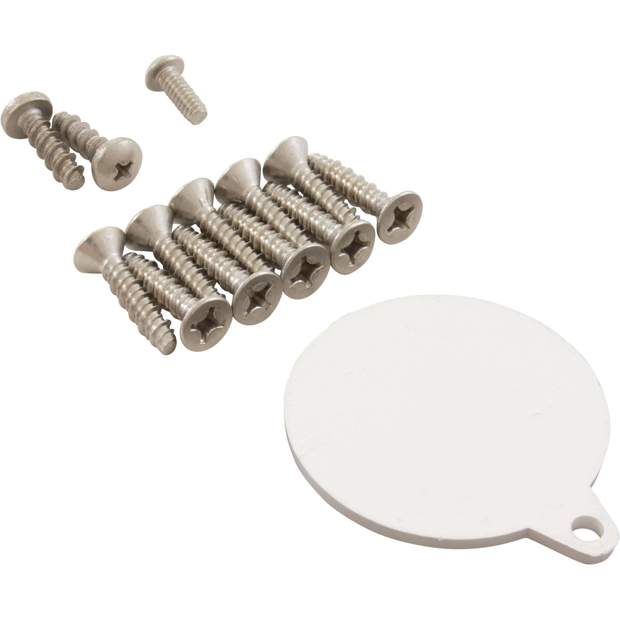 Skimmer Screw Kit, Pentair/American Products FAS : 85009700 - American Products/Pentair - 788379625887 - PartsForSpas.com