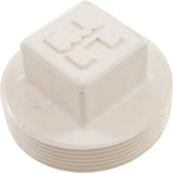 Plug, Hayward SP1082/1083/1084/1085/1086 Skimmer, 2" : SPX1053Z1