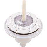 LED Light Bubbler Niche Kit, Pentair ColorVision, Vinyl/Fglss : 580036