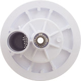 LED Light Bubbler Niche Kit, Pentair ColorVision, Vinyl/Fglss : 580036