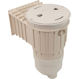 Renegade Gnite Skim W/Fv 2.5"Spgx2"Sx2"Npt : 540-6610 - Waterway Plastics - 540-6610 - PartsForSpas.com