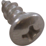 Screw, Pentair Sta-Rite Vinyl Main Drain, Frame, 8 x 3/8" : 37207-0825