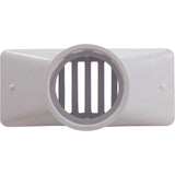Gutter Drain, Pentair 2.5" x 6", w/Grate, White : 542039