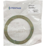 Gasket, Pentair Sta-Rite Vinyl/StarGuard Main Drain, Body : 07017-0079