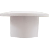 Wall Fitting, Pentair, 2"s Body, Insider, White : 542423