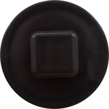 Plug, Carvin MD Series, 2", with O-Ring : 43-3092-02-R