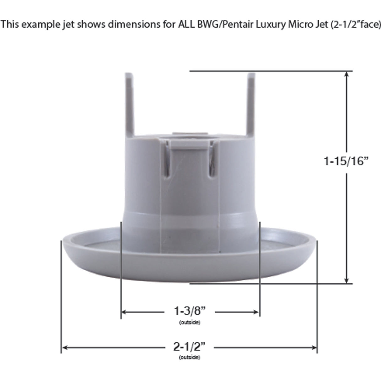 Jet Intl, BWG Luxury Micro, 2-1/2"fd, Roto, Txt Scal, Slvr : 941981 - Balboa Water Group - 788379610746 - PartsForSpas.com