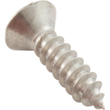 Screw, Pentair PacFab Dual Bottom, Grate, 8 x 5/8" : 552537