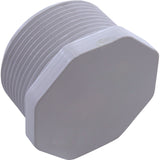 Plug, Pentair American Products Main Drain, 1-1/2" : 51001900