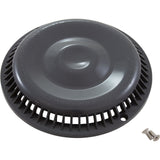 Main Drain Grate, Afras, Anti Vortex, Dk Gray, w/2 Screws : 10064DKGY - Afras Industries - 10064DKGY - PartsForSpas.com
