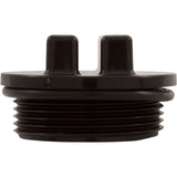 Plug, Hayward, w/O-Ring, 1-1/2" Thd, Black : SP1022CBLK