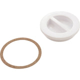 Plug, Hayward, Flush Inlet Fitting, 1-1/2" : SP1022B