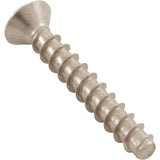 Cover Screw, Hayward SP1048/SP1049, Quantity 2 : SPX1030Z2A