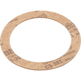 Gasket, Hayward, Inlet Fitting, Slip : SPX1025Z3