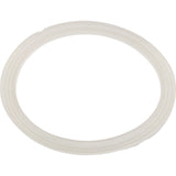 Gasket, O-Ring, Waterway Mini Storm : 711-6910