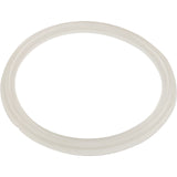 Gasket, O-Ring, Waterway Mini Storm : 711-6910