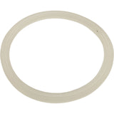 Gasket, Flat, Waterway Poly Storm Jet : 711-4410