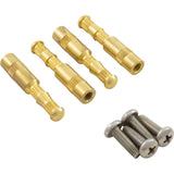 Main Drain Brass Insert, Aquastar, with Screw, Quantity 4 : BIK4