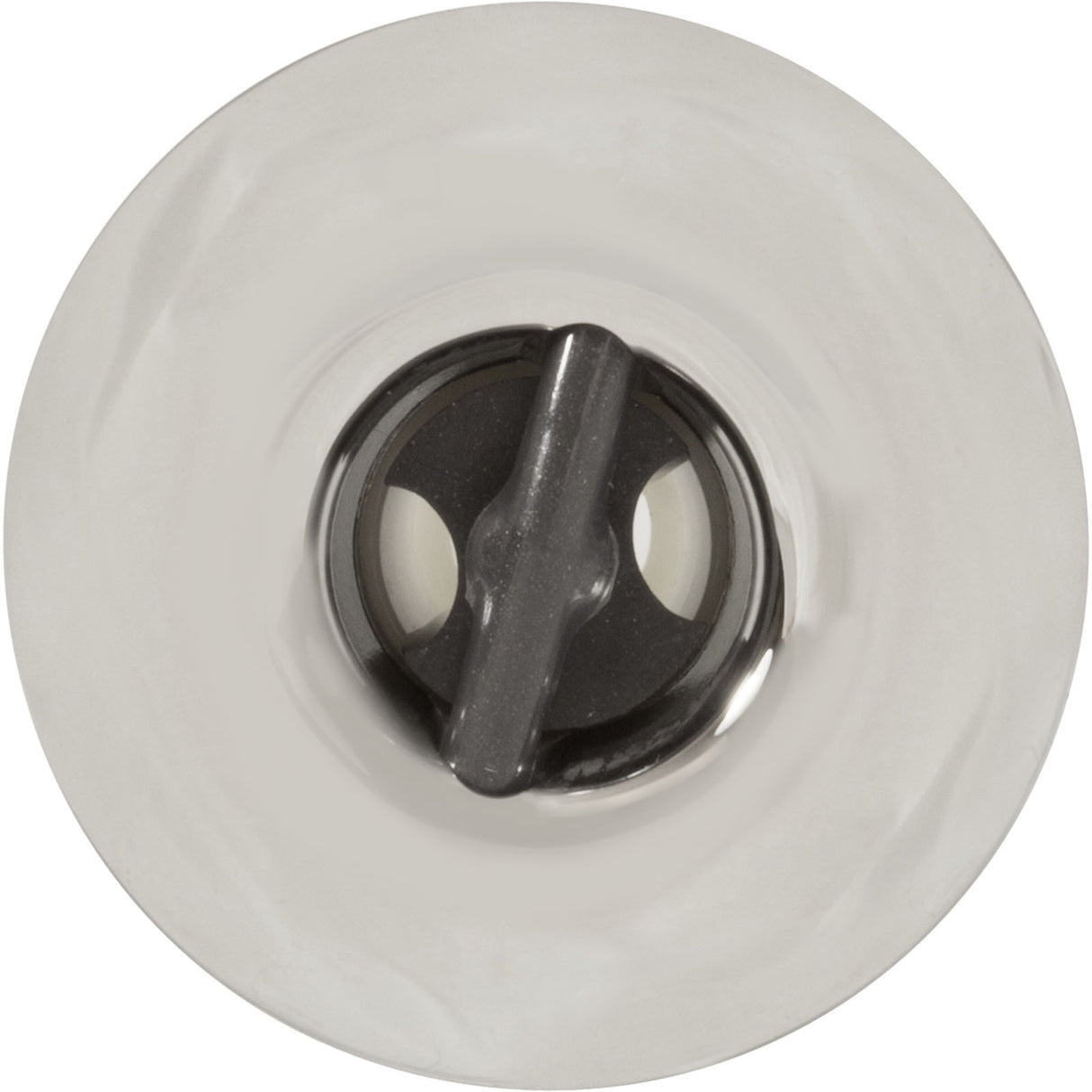 Jet Intl, Jacuzzi/Sun DV Jet, 2"fd, Pulsator, Smth Scal, SS/Gry : 2540-245