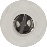 Jet Intl, Jacuzzi/Sun DV Jet, 2"fd, Pulsator, Smth Scal, SS/Gry : 2540-245