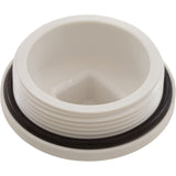 Plug, Main Drain, 2", Gunite : 25525-000-000