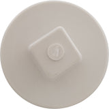 Plug, Main Drain, 2", Gunite : 25525-000-000