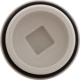Plug, Main Drain, 2", Gunite : 25525-000-000