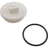 Plug, Main Drain, 2", Gunite : 25525-000-000