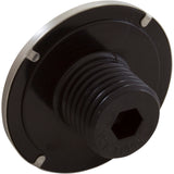 Jet Internal, Large Face, Directional, Black, SS, S03 : RD611-1020-S03 - Rising Dragon - RD611-1020-S03 - PartsForSpas.com