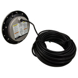 Pool Light, Jandy Niched White LED, 65W, 115v, 100ft, SS : WPHV5LS100