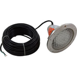 Pool Light, Pentair Amerlite SS, 115v, 500W, 100ft Cord : 78456300