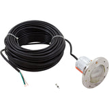 Spa Light, Pentair IntelliBrite 5g, White LED, 115v, 150ft Cord : 640143