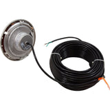 Pool Light, Pent IntelliBrite 5g Color LED, 115v, 250ft Cord : 601004