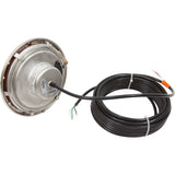 Pool Light, Pent IntelliBrite 5g Color LED, 115v, 100ft Cord : 601002