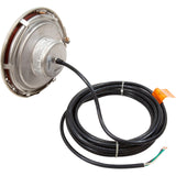 Pool Light, Pentair IntelliBrite 5g White LED, 115v, 30ft Cord : 601100