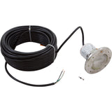 Spa Light, Pentair IntelliBrite 5g White LED, 12v, 100ft Cord : 640152