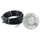 Spa Light, Pent IntelliBrite ARC, Wht LED, 12v, 100ft, 100W Eq : 618017