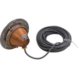 Light, Hayward, DuraLite Repl, 300W, 12v, 50ft Cord : SP050250