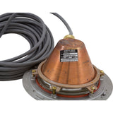 Light, Hayward, DuraLite Repl, 300W, 12v, 50ft Cord : SP050250