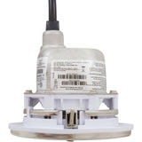Spa Light, Hayward ColorLogic 4.0, LED, 115v, 30' Cord, SS : SP0535SLED30